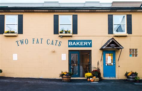 2 fat cats bakery maine|2 fat cats south portland.